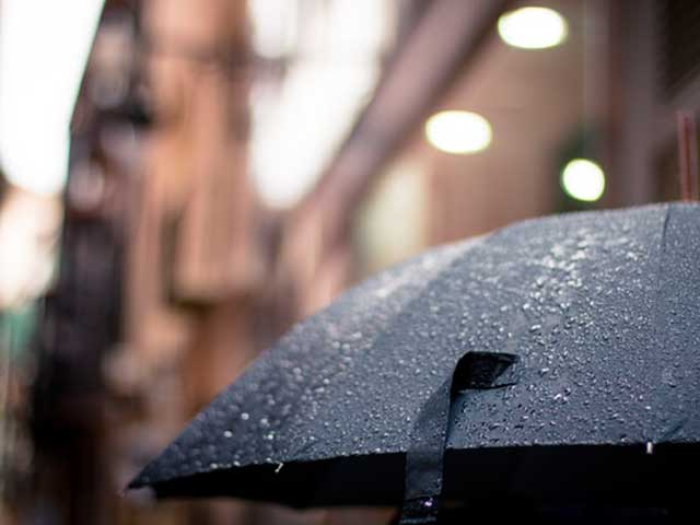 雨の日の傘の画像